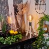 Beccar Bordslampa Naturfärger, Svart, 1-ljuskällor