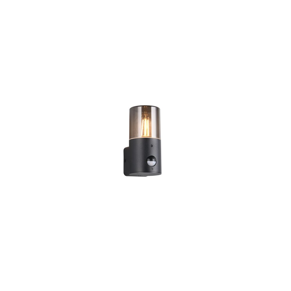 Trio HOOSIC Vägglampa Svart, 1-ljuskällor, Rörelsedetektor main product photo