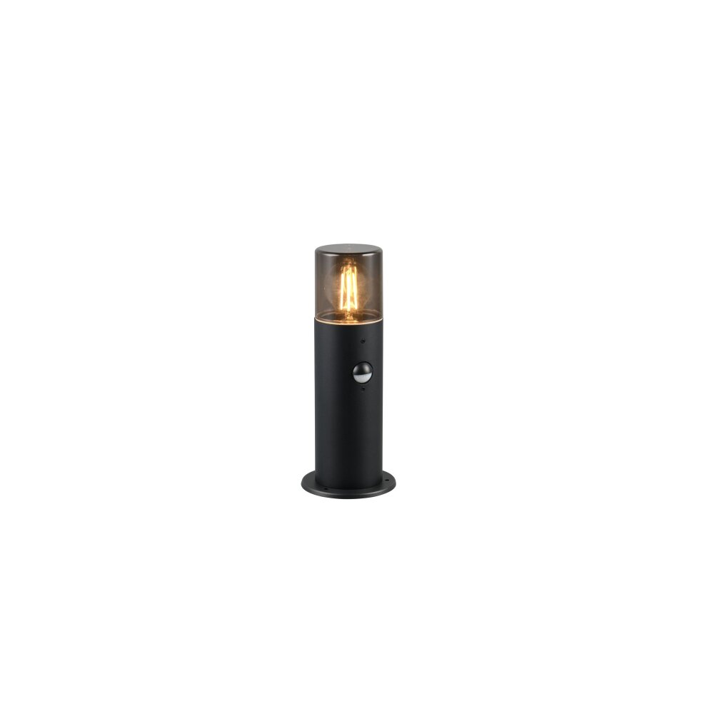 Trio HOOSIC Golvlampa utomhus Svart, 1-ljuskällor, Rörelsedetektor main product photo