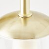 Brilliant Gitse Vägglampa Guld, 1-ljuskällor