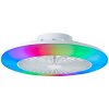 Brilliant Salerno Taklampa LED Vit, 1-ljuskällor, Fjärrkontroll