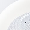Brilliant Salerno Taklampa LED Vit, 1-ljuskällor, Fjärrkontroll