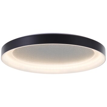 Brilliant Quito Taklampa LED Svart, 1-ljuskällor