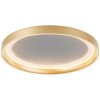 Brilliant Quito Taklampa LED Guld, 1-ljuskällor
