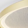 Brilliant Quito Taklampa LED Guld, 1-ljuskällor