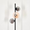 Remaisnil Golvlampa - Glas 12 cm, 15 cm Svart, 3-ljuskällor