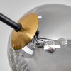 Chehalis Taklampa - Glas 12 cm, 15 cm Guld, Svart, 8-ljuskällor