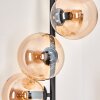 Gastor Golvlampa - Glas 15 cm Amber, 6-ljuskällor