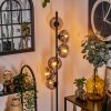 Gastor Golvlampa - Glas 15 cm Klart, Rökfärger, 6-ljuskällor