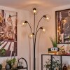 Koyoto Golvlampa - Glas 15 cm Klart, 5-ljuskällor