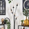 Gastor Golvlampa 40 cm Klart, 6-ljuskällor