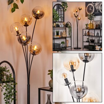 Gastor Golvlampa - Glas 15 cm Amber, Klart, Rökfärger, 5-ljuskällor