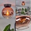 Koyoto Taklampa - Glas 20 cm Klart, Kopparfärg, 1-ljuskällor