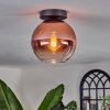 Koyoto Taklampa - Glas 20 cm Klart, Kopparfärg, 1-ljuskällor