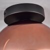 Koyoto Taklampa - Glas 20 cm Klart, Kopparfärg, 1-ljuskällor
