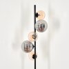 Remaisnil Golvlampa - Glas 12 cm, 15 cm Svart, 5-ljuskällor
