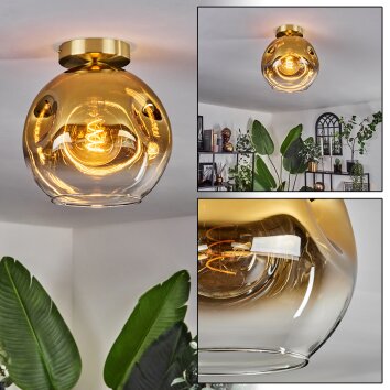 Ripoll Taklampa - Glas 25 cm Guld, Svart, 1-ljuskällor