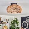 Brandala Taklampa 30 cm Svart, 2-ljuskällor
