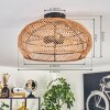 Brandala Taklampa 40 cm Svart, 3-ljuskällor