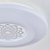 Kaas Taklampa LED Krom, Vit, 1-ljuskällor