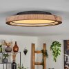 Bosatorp Taklampa LED Svart, 1-ljuskällor, Fjärrkontroll