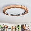 Bosatorp Taklampa LED Svart, 1-ljuskällor, Fjärrkontroll