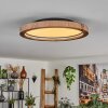 Bosatorp Taklampa LED Svart, 1-ljuskällor, Fjärrkontroll