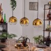 Ripoll Pendellampa Guld, Klart, 3-ljuskällor