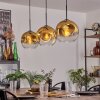 Ripoll Pendellampa Guld, Klart, 3-ljuskällor