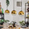Ripoll Pendellampa Guld, Klart, 3-ljuskällor