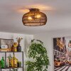 Brandala Taklampa Svart, 2-ljuskällor