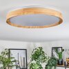 Sofo Taklampa LED Vit, 1-ljuskällor, Fjärrkontroll