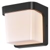 Ledvance Endura vägglampa utomhus LED Grått, 1-ljuskällor