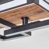 Sigersvik Taklampa LED Naturfärger, Svart, 1-ljuskällor