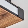 Sigersvik Taklampa LED Naturfärger, Svart, 1-ljuskällor