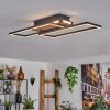 Sigersvik Taklampa LED Naturfärger, Svart, 1-ljuskällor