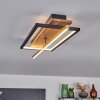 Cascada Taklampa LED Mässing, Naturfärger, Svart, 1-ljuskällor