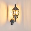 Lentua vägglampa utomhus, Vägglampa Grön, Svart, 1-ljuskällor, Rörelsedetektor