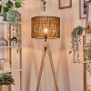 Cando Golvlampa Naturfärger, 1-ljuskällor
