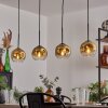 Ripoll Pendelbelysning Guld, Klart, 4-ljuskällor