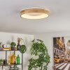 Lockeby LED Naturfärger, Vit, 1-ljuskällor, Fjärrkontroll