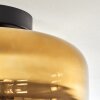 Boza Taklampa Guld, Klart, 1-ljuskällor