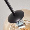 Gastor Taklampa 74 cm Amber, 6-ljuskällor