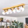 Miguas Taklampa Naturfärger, Svart, 6-ljuskällor