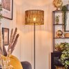 Cando Golvlampa Svart, 1-ljuskällor