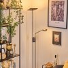 Antra Golvlampa LED Nickel matt, 1-ljuskällor