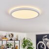Endrup Taklampa LED Vit, 1-ljuskällor
