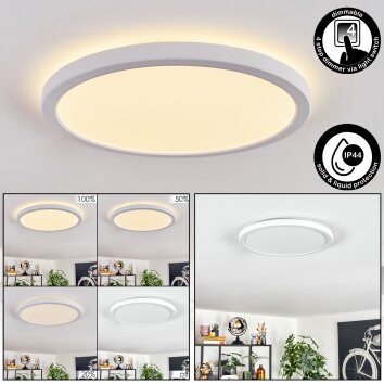 Endrup Taklampa LED Vit, 1-ljuskällor