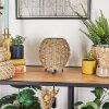 Malpica Bordslampa Beige, 1-ljuskällor
