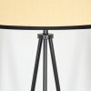 Chellas Golvlampa Beige, Svart, 1-ljuskällor
